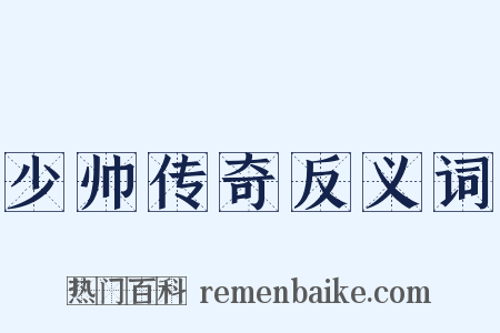 少帅传奇反义词是什么意思的图片